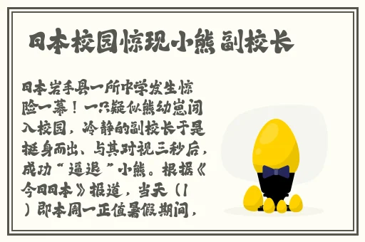 秘书的兔子好软水好
